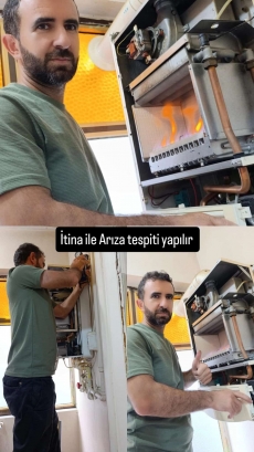 Petek Temizlii